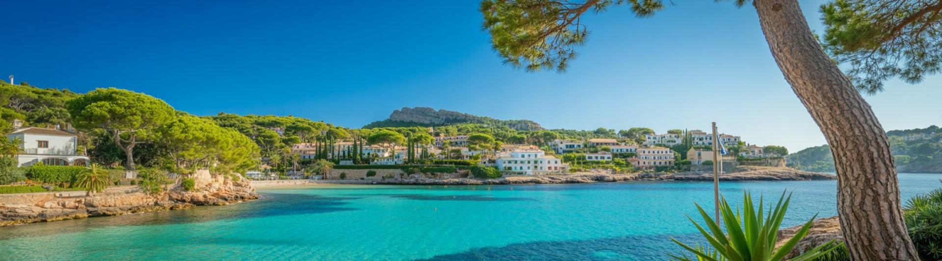 mallorca regio top.jpg